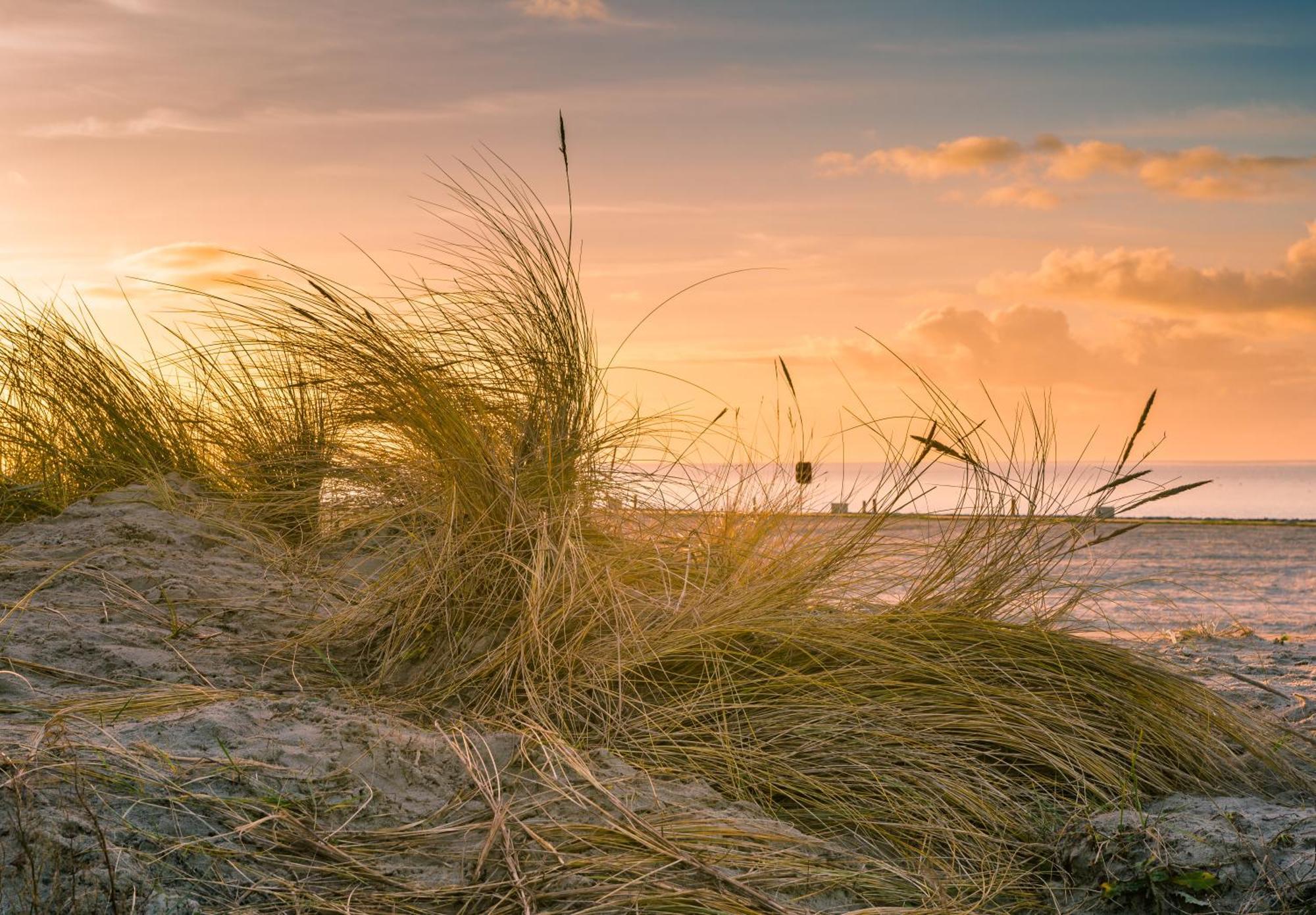 Hotel Regina Maris Norddeich  Zewnętrze zdjęcie